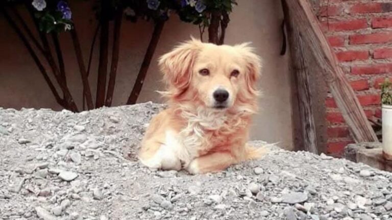 Barrio Alto Comedero: «Kiara» sigue sin aparecer