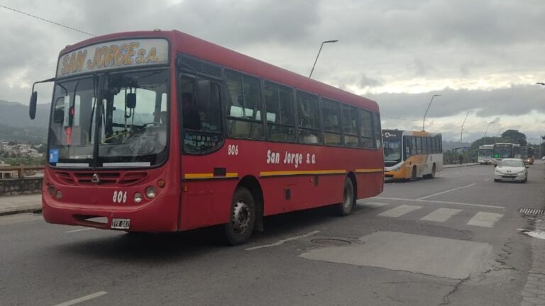 Así funcionarán los servicios este miércoles, feriado nacional