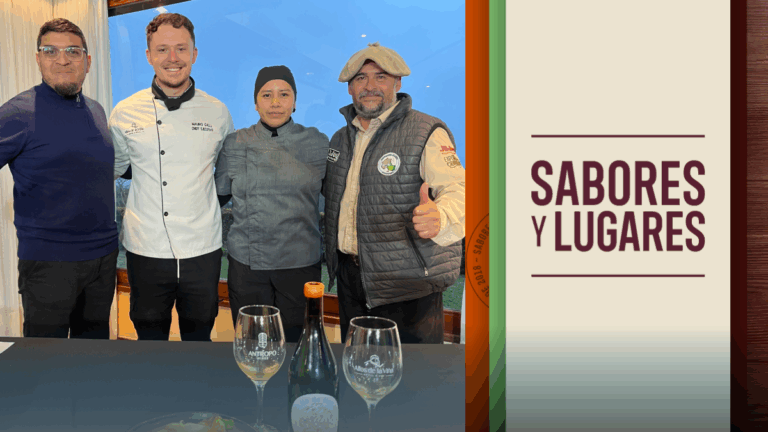 Sabores y Lugares: gastronomía, vistas y experiencias en Altos de la Viña