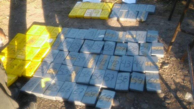 Iban a incinerar droga secuestrada y se descubrió que la habían reemplazado por plastilina