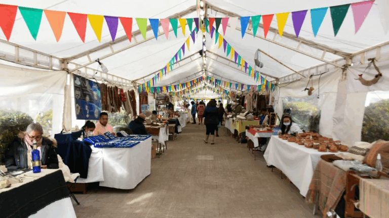 Más artesanos se quejan por reducción de días de feria, ahora en Plaza España