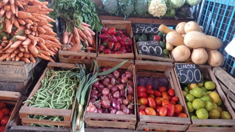 Según DIPEC, la inflación de los alimentos fue del 0% en Jujuy