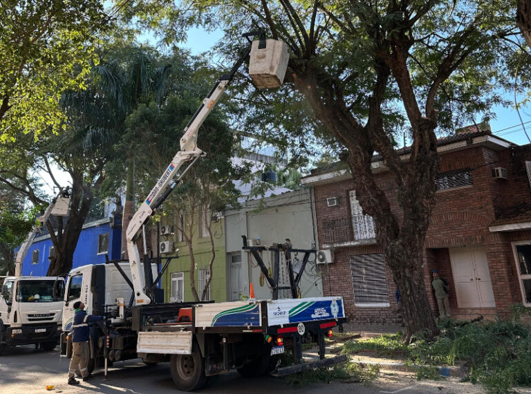 SECHEEP y el Municipio de Resistencia avanzan con trabajos de poda responsable