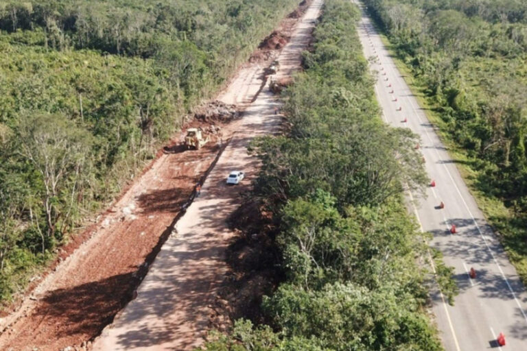 Tren Maya destruirá 259 hectáreas más de selva en intento por rescatar su fracaso