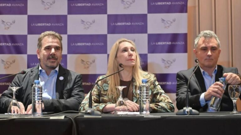 «Sumarse al modelo del Presidente»: La Libertad Avanza lanzó su primer spot para las elecciones bonaerenses