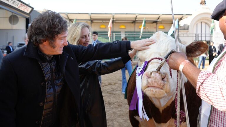 Javier Milei visitará La Rural y hay expectativas por una baja de retenciones al sector cárnico