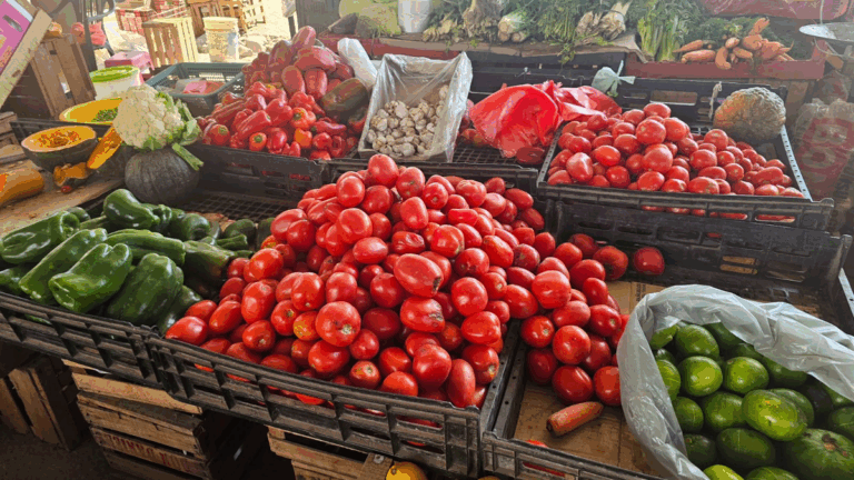 Feria de Monterrico: aumento de precios y caída en las ventas