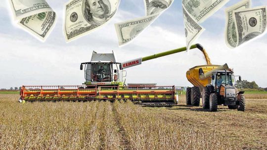 Tras la baja de retenciones, el campo generaría unos u$s 29 millones extra en la próxima década