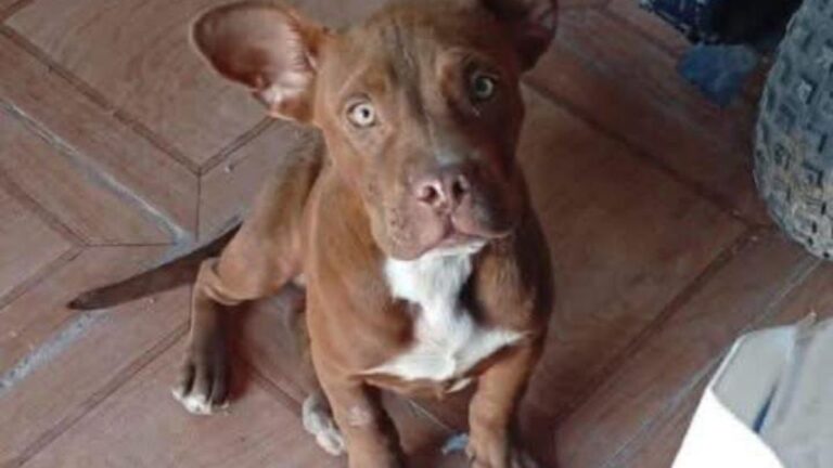 Barrio Alto Comedero: Urgente! Sigue la búsqueda de «Chema»