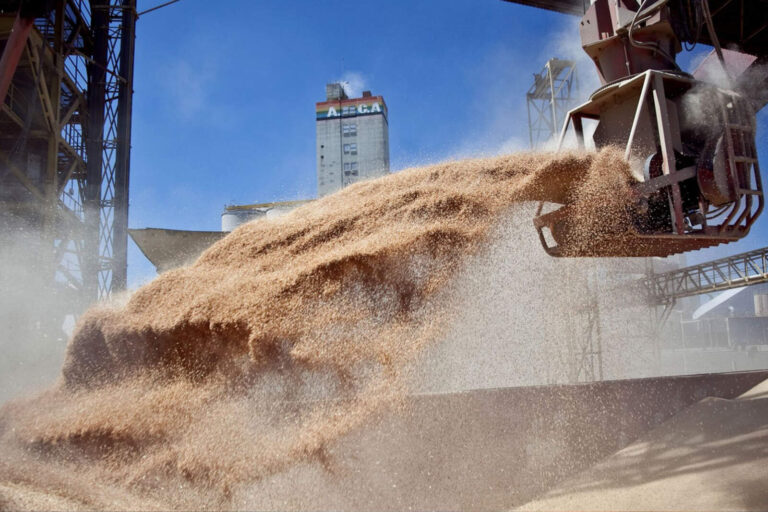 Récord en el agro: Córdoba y el país liquidaron U$S 4.100 millones en julio 2025