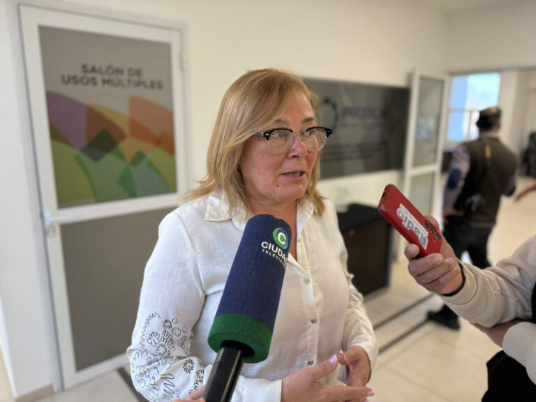 Fundación CONIN celebra sus 20 años con una maratón este domingo: más de 350 inscriptos