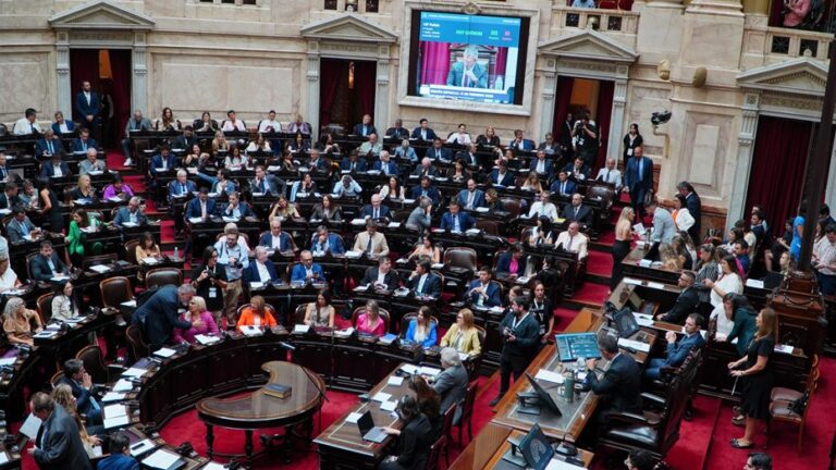Diputados convoca una sesión clave para debatir el financiamiento de universidades y del Garrahan