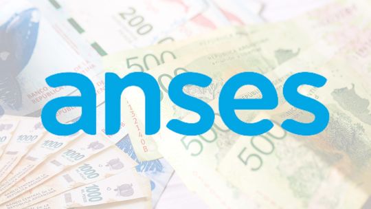ANSES: quiénes cobrarán $321.000 en agosto y cómo acceder al beneficio