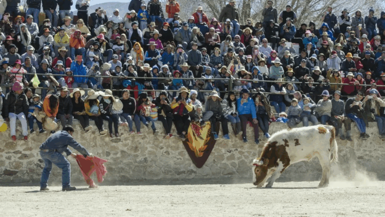 Casabindo celebra a la Virgen de la Asunción con el Toreo de la Vincha