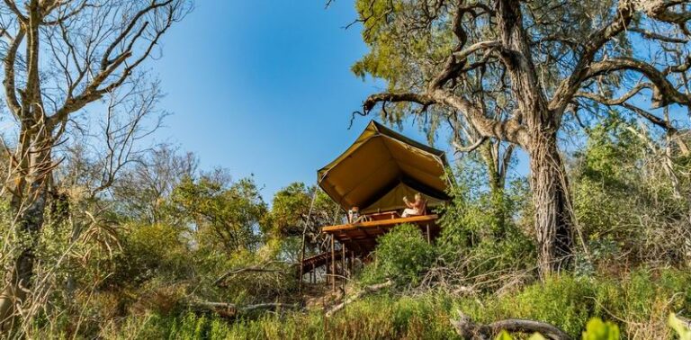 Cifras récord del turismo chaqueño durante el fin de semana largo