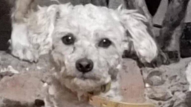 «Papi» se perdió en La Quiaca