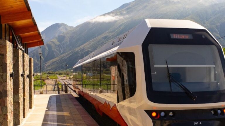Críticas a la seguridad del tren de la Quebrada: la visión de un experto ferroviario