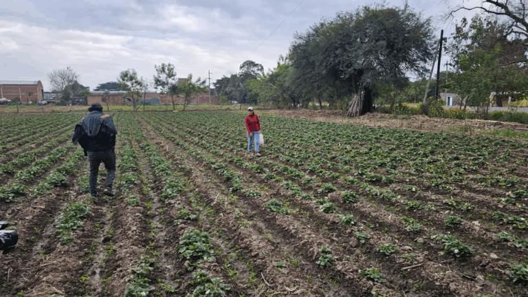 Productores piden que se implemente una Policía Rural en Perico