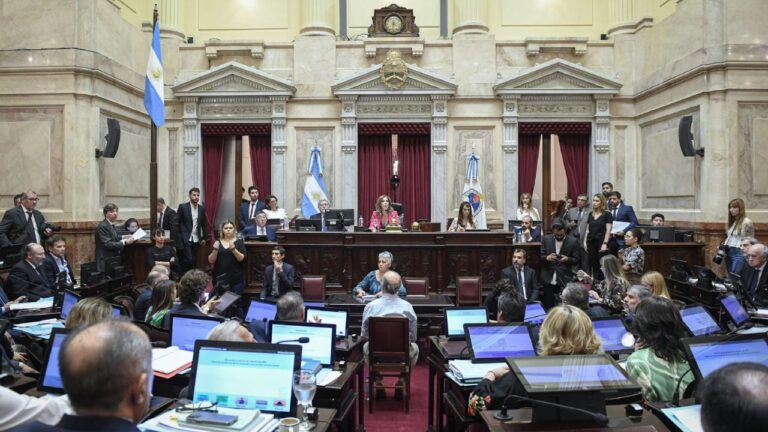 Refuerzo de presupuestos universitarios: dictamen en el Senado y tensión en el Gobierno