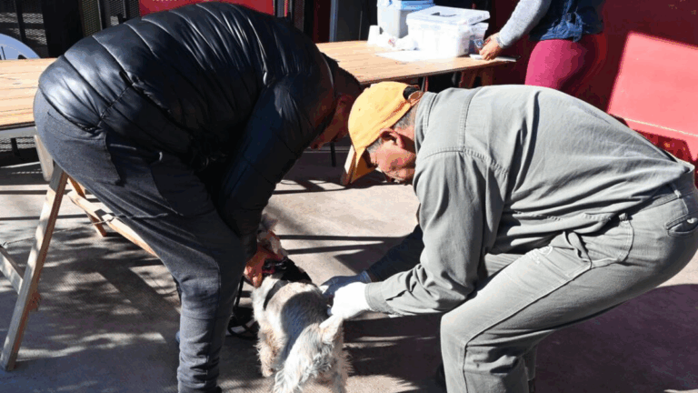 Semana de vacunación antirrábica gratuita por barrios capitalinos: días, horas y lugares