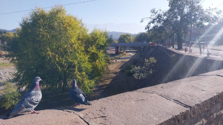 Mañanas frías y tardes soleadas: así sigue el tiempo en Jujuy