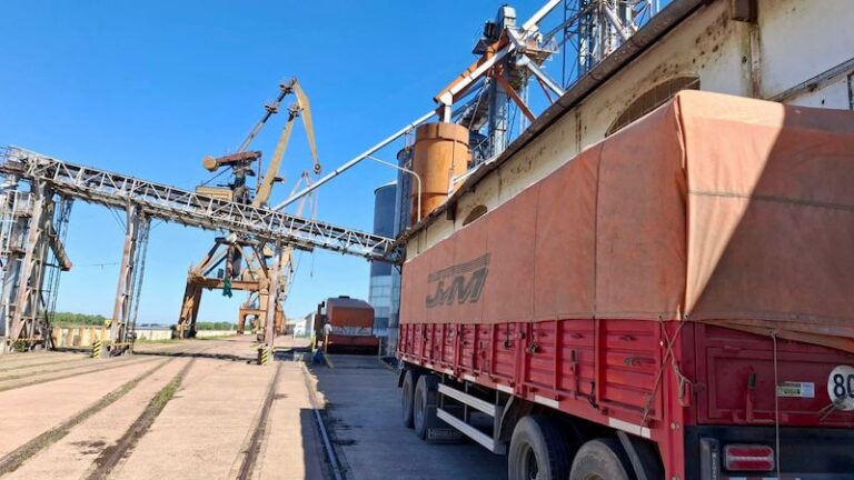 Después de años de inactividad, el puerto de Barranqueras recibe trigo proveniente de Santa Fe