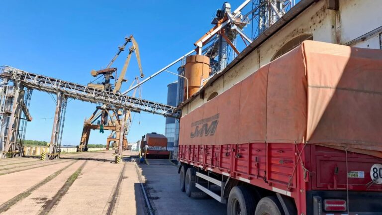 En actividad: el Puerto de Barranqueras recibió una carga de trigo proveniente de Santa Fe