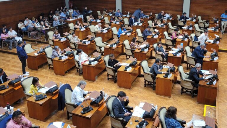 La oposición en contra del proyecto que deja abierta la posibilidad de vender empresas estatales