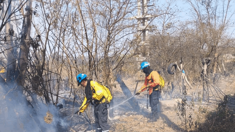 Se eleva el riesgo de incendios forestales en Jujuy