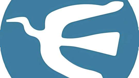 Las mejores notas: La Plata, Mendoza y Rosario