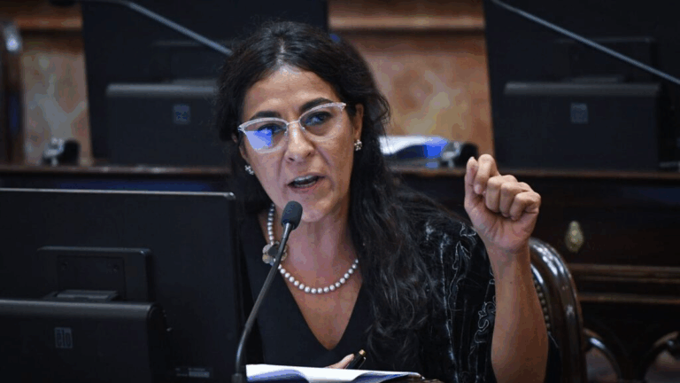 Carolina Moisés confía en los votos para garantizar la Emergencia en Discapacidad