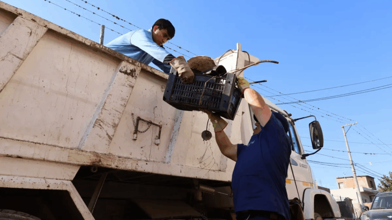 Jujuy continúa sin casos de dengue en el año