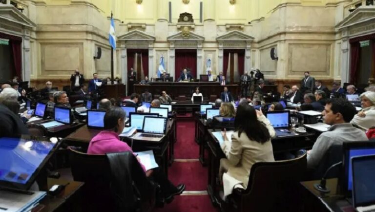 El Senado se dispone a voltear el veto de Milei contra la Emergencia en Discapacidad