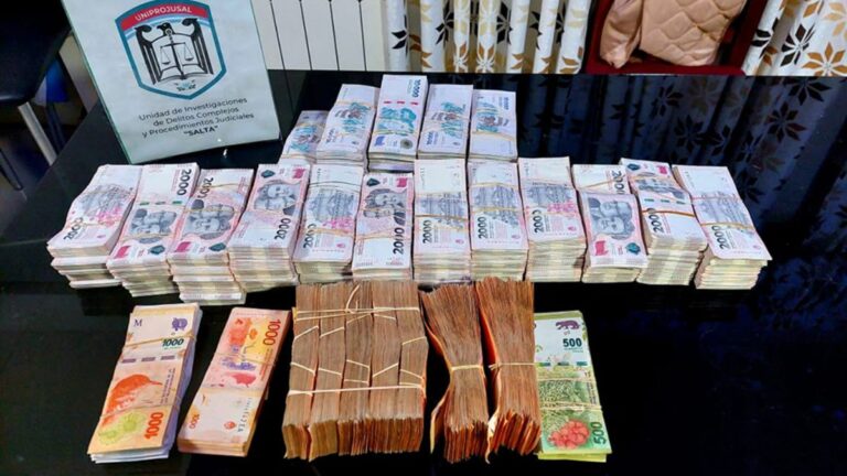 Condena y decomisos por más de 500 millones de pesos para un comerciante jujeño