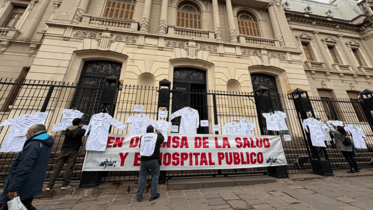 Profesionales y otra jornada de reclamo: «Seguimos firmes en la lucha»