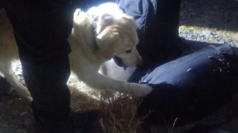 Salió de Jujuy con más de un kilo de marihuana y fue detenido en Catamarca