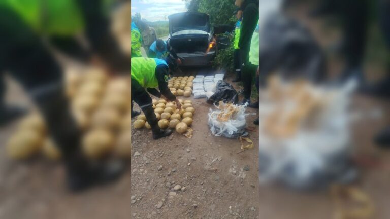 Allanamientos, detenciones y secuestro de drogas por 1.151 millones de pesos