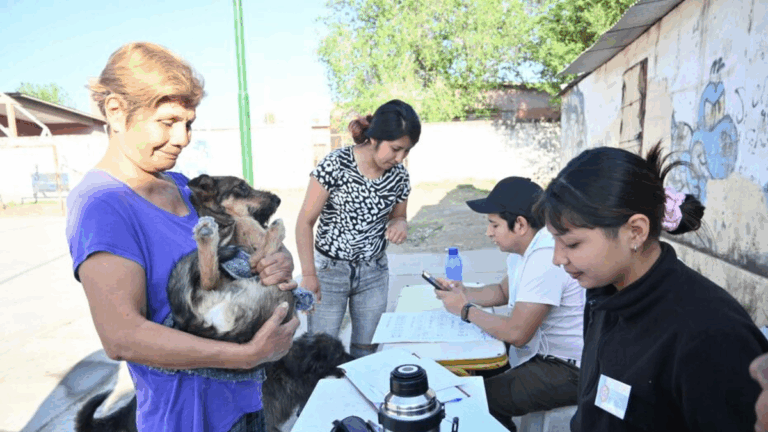 Se repone la vacunación antirrábica gratuita por barrios capitalinos: los detalles