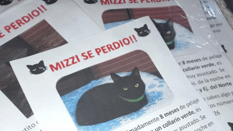 Barrio Mariano Moreno: buscan a «Mizzi»