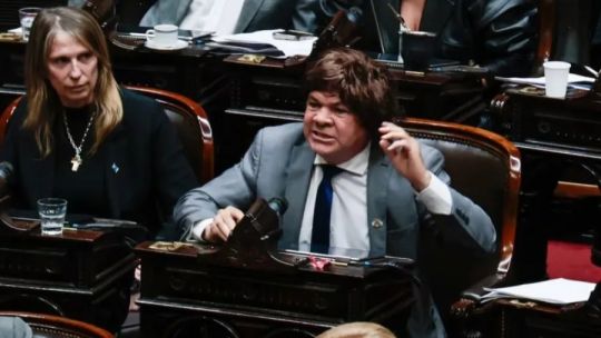 Aldo Leiva tras usar una peluca contra Milei: En el Senado será como le pasó a River anoche: derrota