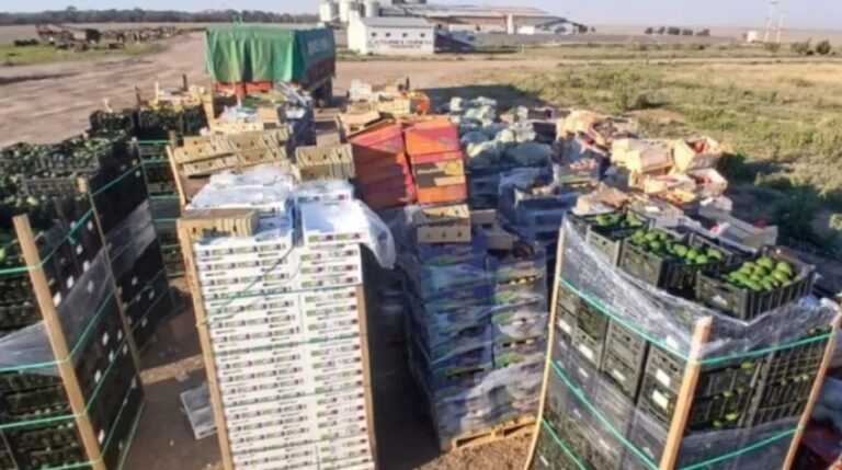 Gancedo: el SENASA decomisó 26 toneladas de frutas sin dcumentación