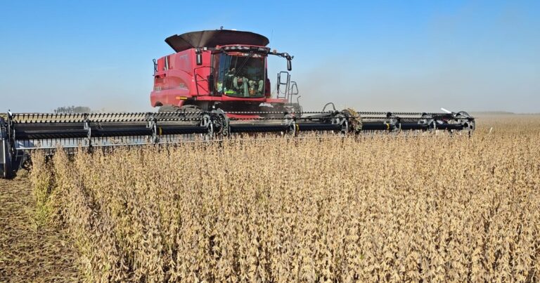 Qué son las retenciones cero que aprobó el Gobierno?