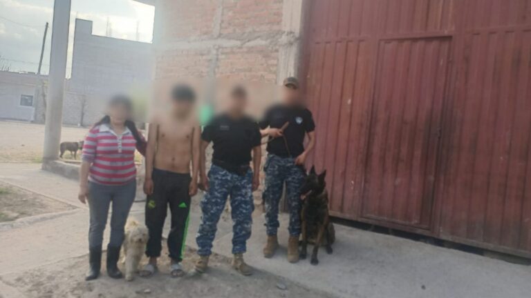 Perro policial logró encontrar a un joven con retraso madurativo que estaba desaparecido