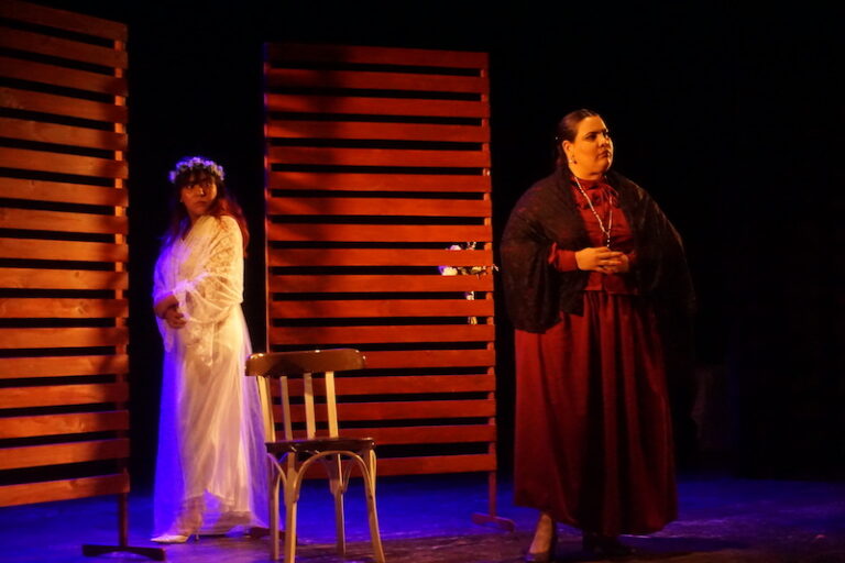 Resistencia recibe el 46º Encuentro Provincial de Teatro con 28 obras y más de 200 artistas