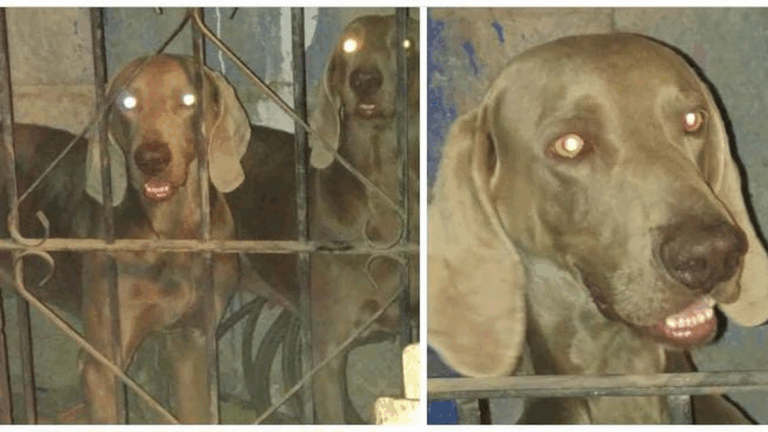 Urgente! Buscan a «Kasar» en barrio Alto Comedero