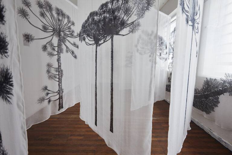 Se inaugura Ensayos sobre el paisaje con obras de tres importantes artistas