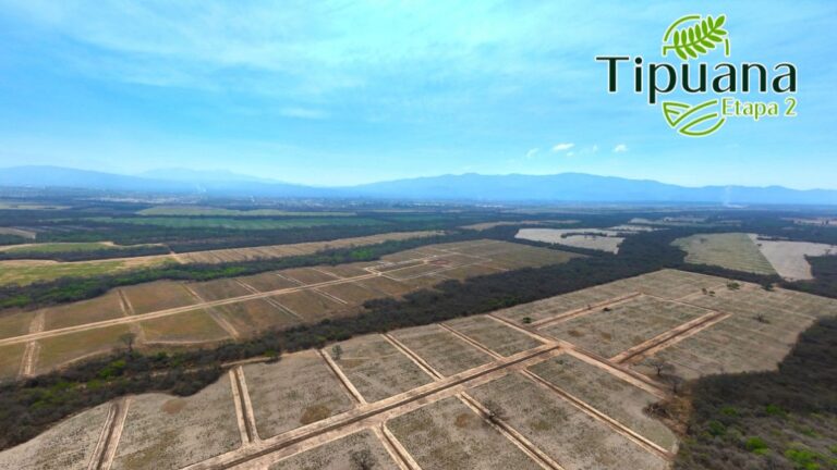 Nueva Edición de la Feria de Lotes!