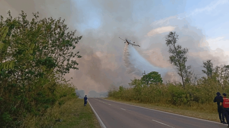 Alerta y preocupación por incendios forestales en la zona de Yungas