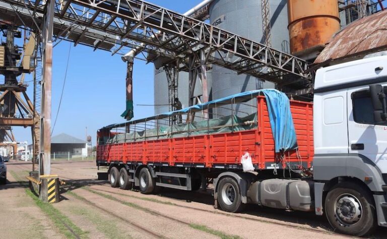 Exportación de trigo a Bolivia: el puerto de Barranqueras concretó una nueva operación internacional