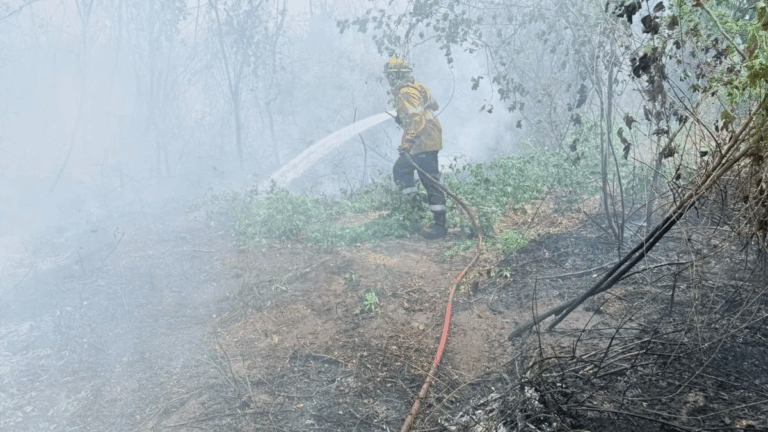 Hay 7 focos de incendio activos en la zona de Yungas